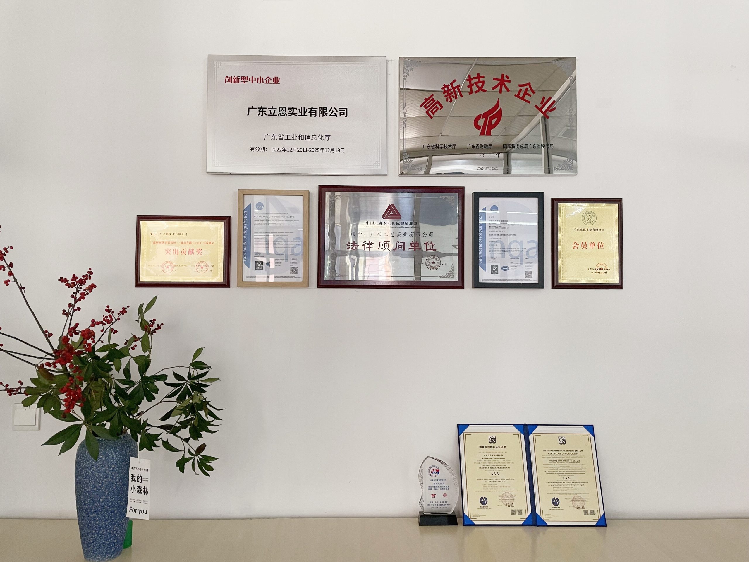 高新(xīn)技(jì )术企业资质(zhì)